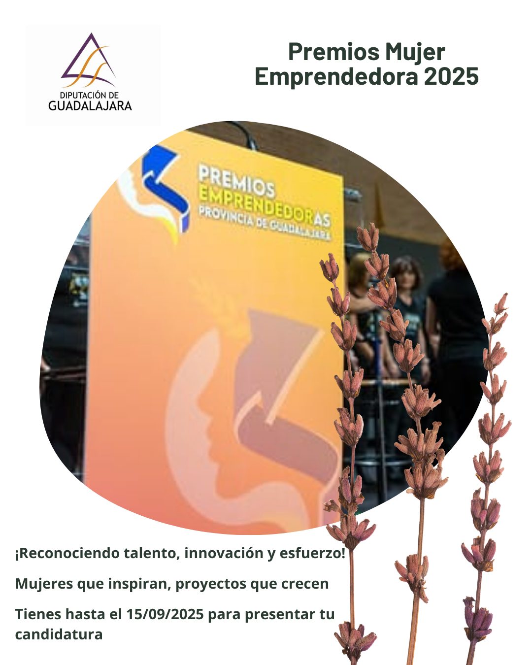 La Diputación de Guadalajara convoca los Premios Mujer Emprendedora 2025